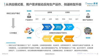 中国工业互联网数字化发展专题分析 数据服务的新蓝海